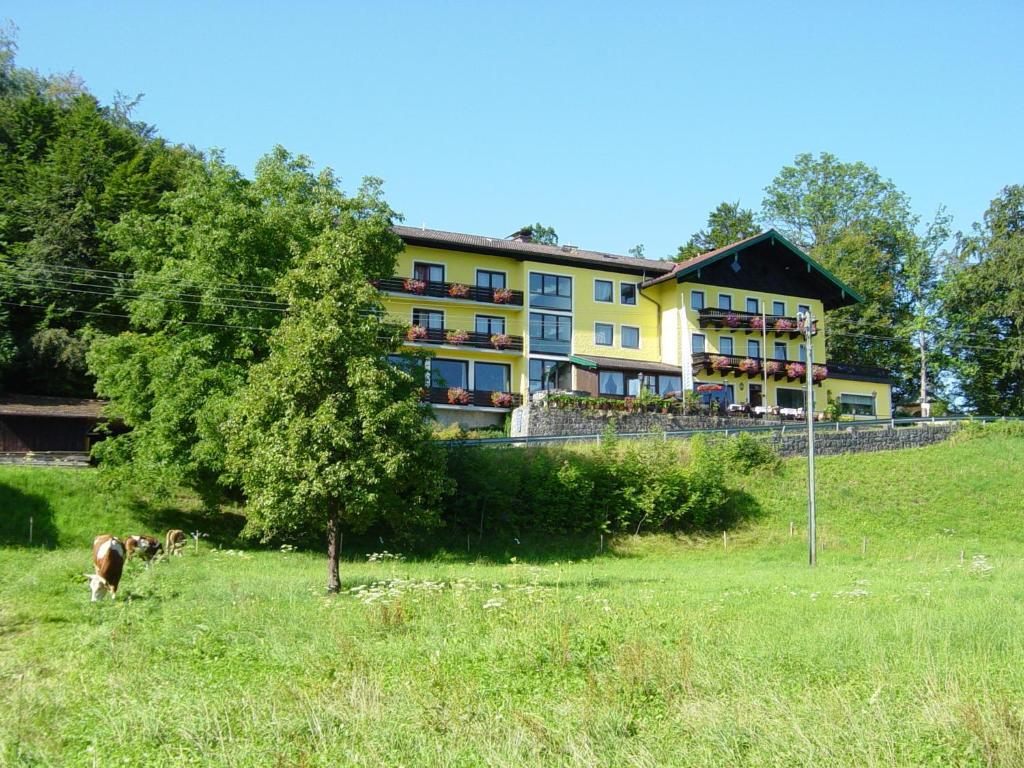 Hotel Zur Schonen Aussicht Übersee Eksteriør bilde