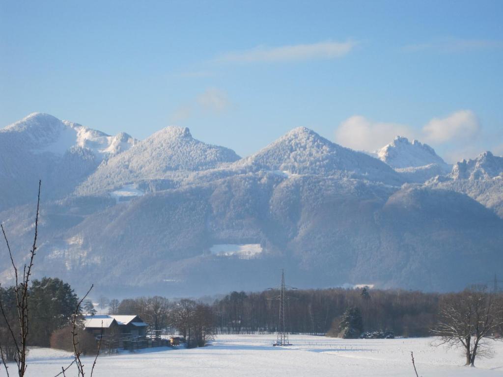 Hotel Zur Schonen Aussicht Übersee Eksteriør bilde